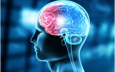 How to maintain a healthy brain? : Ways to keep your brain healthy