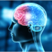 How to maintain a healthy brain? : Ways to keep your brain healthy